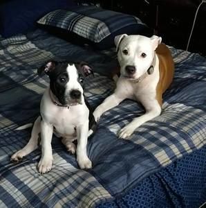 Meet your Posher, Mike